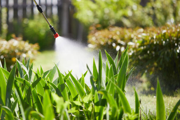24/7 Emergency Wasp Removal experts in Parsippany, NJ