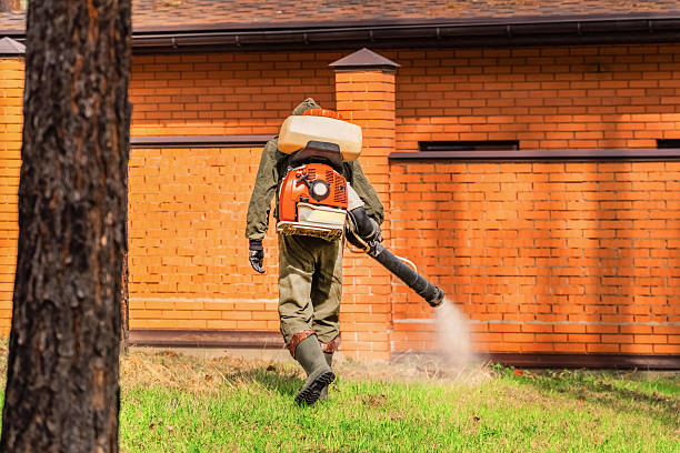 Top rated local Wasp Removal specialists in Parsippany, NJ